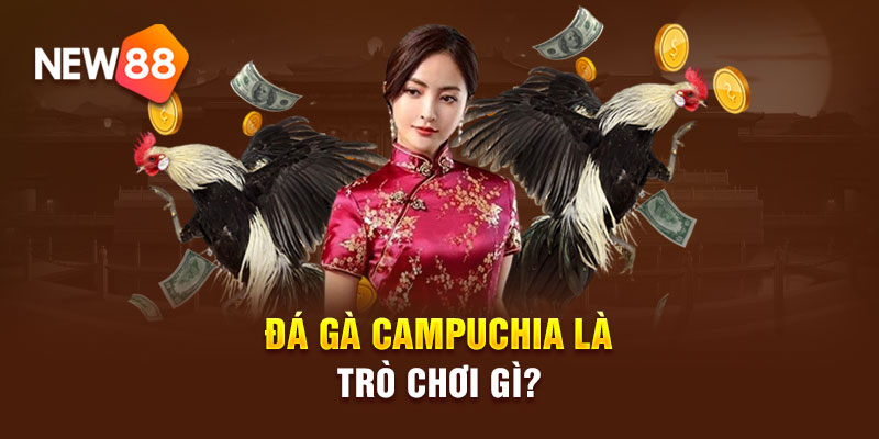 Đá gà Campuchia là trò chơi gì?