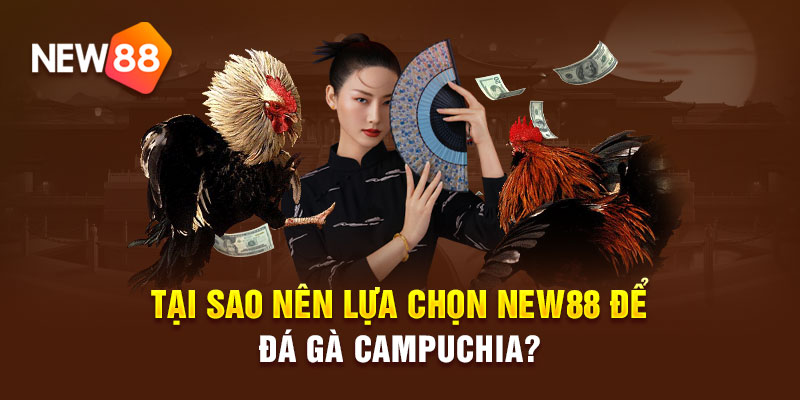 Tại sao nên lựa chọn NEW88 để đá gà Campuchia?