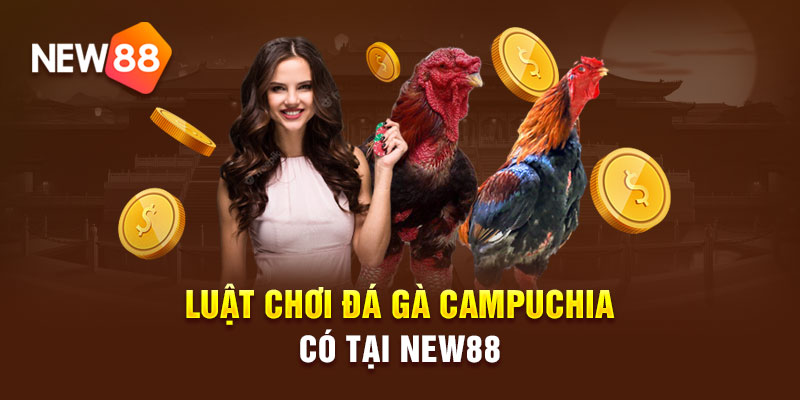 Luật chơi đá gà Campuchia có tại NEW88